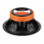 DL Audio Raven 200